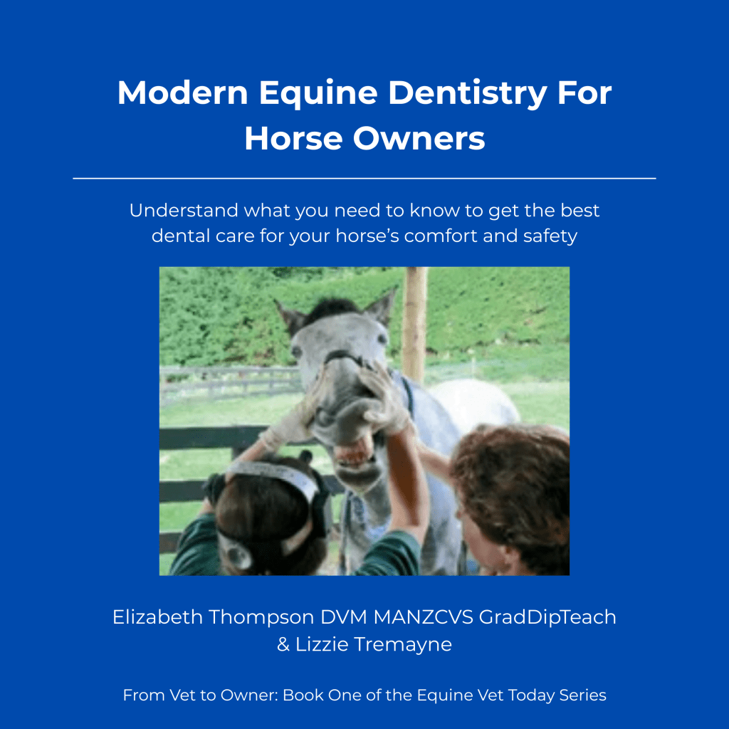 Modern Equine Dentistry For Horse Owners