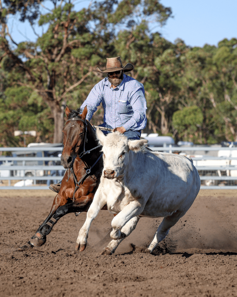 Mount Barker Campdraft 2026