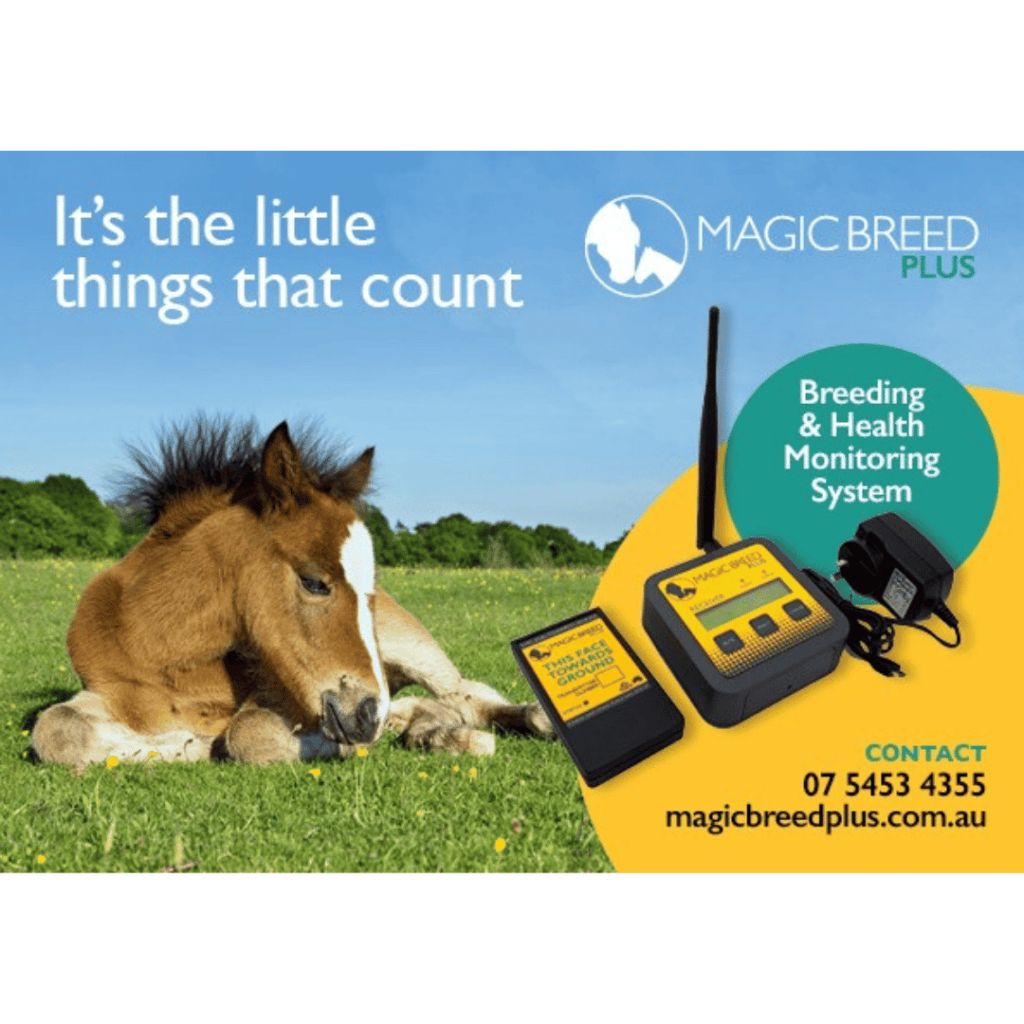 Magic Breed